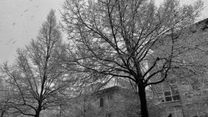 #wochenrueckblick KW 01 / 2024 - Winter