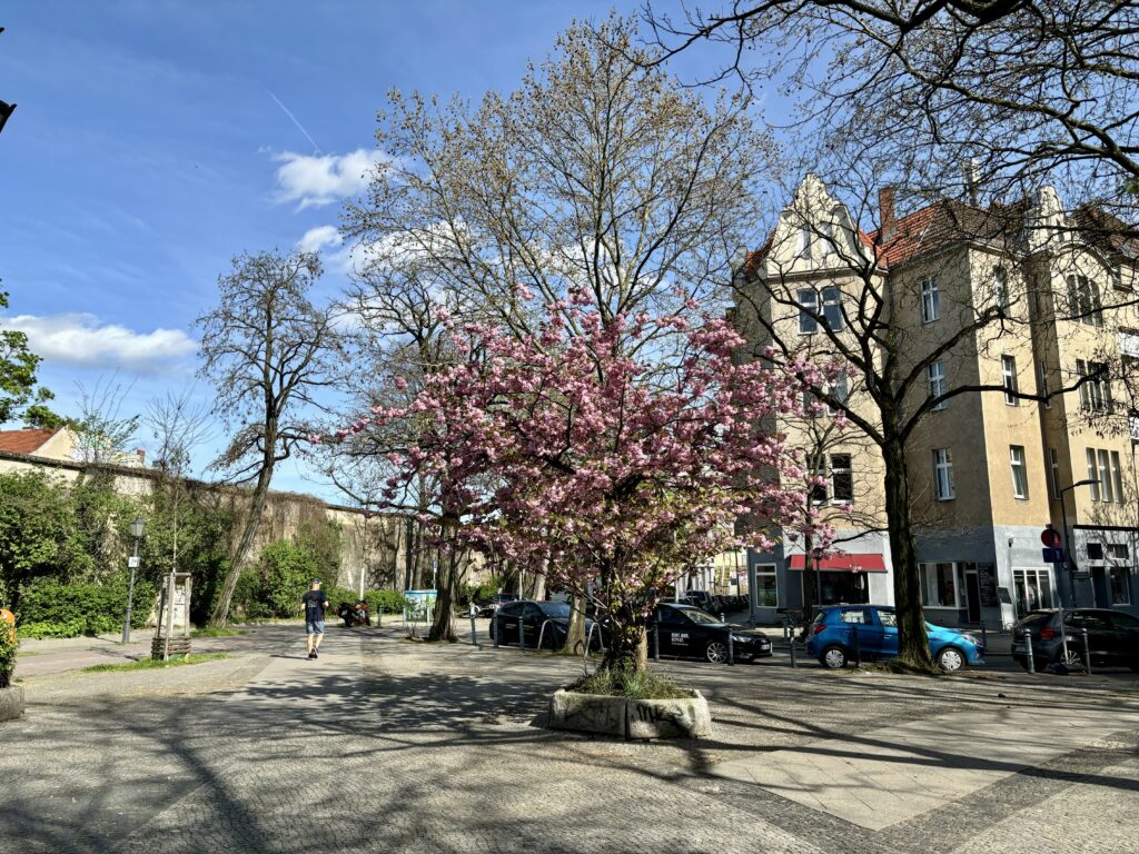 #wochenrueckblick KW 14 / 2024 - Varziner Platz in Friedenau 41