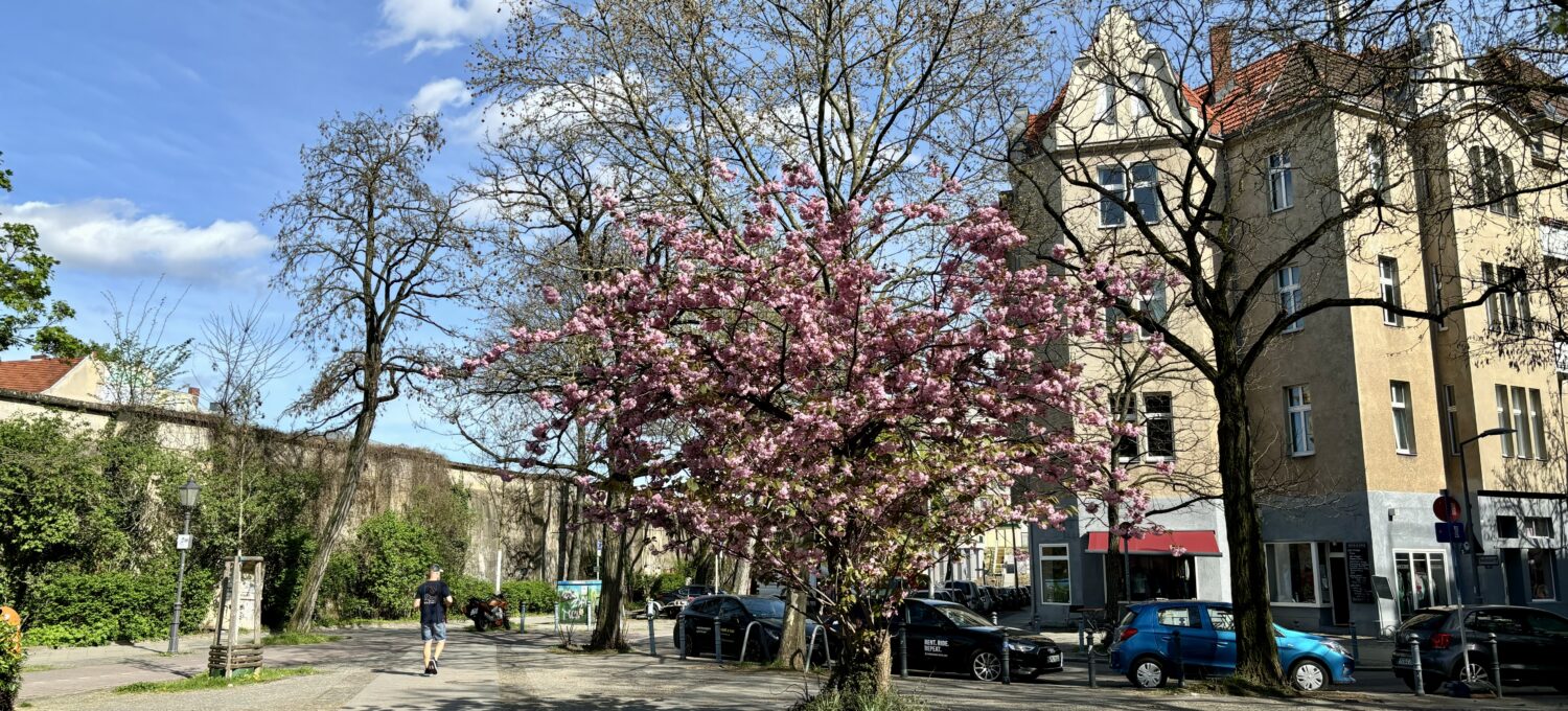 #wochenrueckblick KW 14 / 2024 - Varziner Platz in Friedenau 41