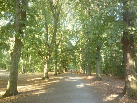 #wochenrueckblick KW 38 / 2024