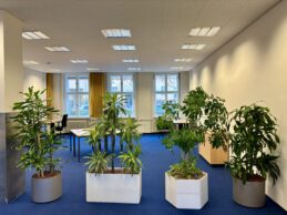 #wochenrueckblick KW 47 / 2024 - Tine Wittler gespielt