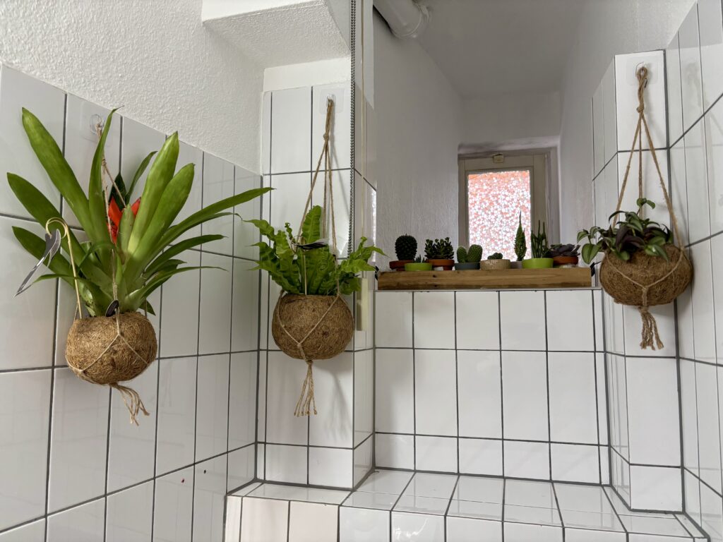 Wochenrueckblick Kw 09 2025 Bad Und Gruenzeug