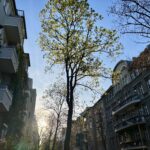 Wochenrueckblick kw 15 2025 grossstadtidylle
