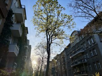 Wochenrueckblick kw 15 2025 grossstadtidylle