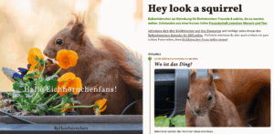 Follow friday 2 balkonhoernchen