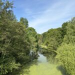 Wochenrueckblick kw 18 2025 gruenes wasser anglotzen