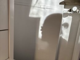 Wochenrueckblick kw 21 2025 icke