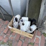 Wochenrueckblick kw 21 2025 zu verschenken