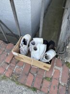 Wochenrueckblick kw 21 2025 zu verschenken