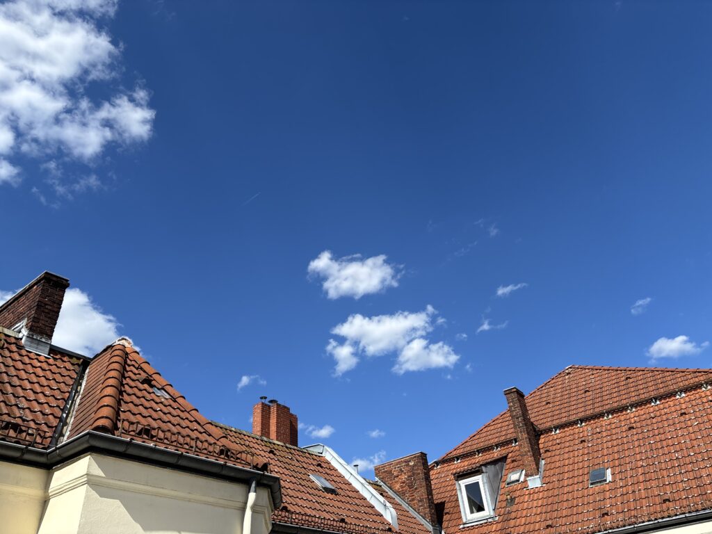 Wochenrueckblick kw 27 2025 hinterhofromantik