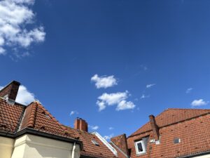Wochenrueckblick kw 27 2025 hinterhofromantik