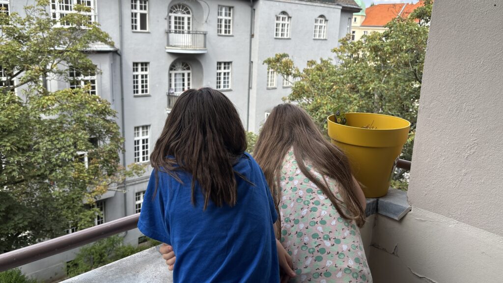 Wochenrueckblick kw 29 2025 - rausglotzen