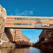 Wochenrueckblick kw 50 2025