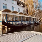 Wochenrueckblick kw 50 2025