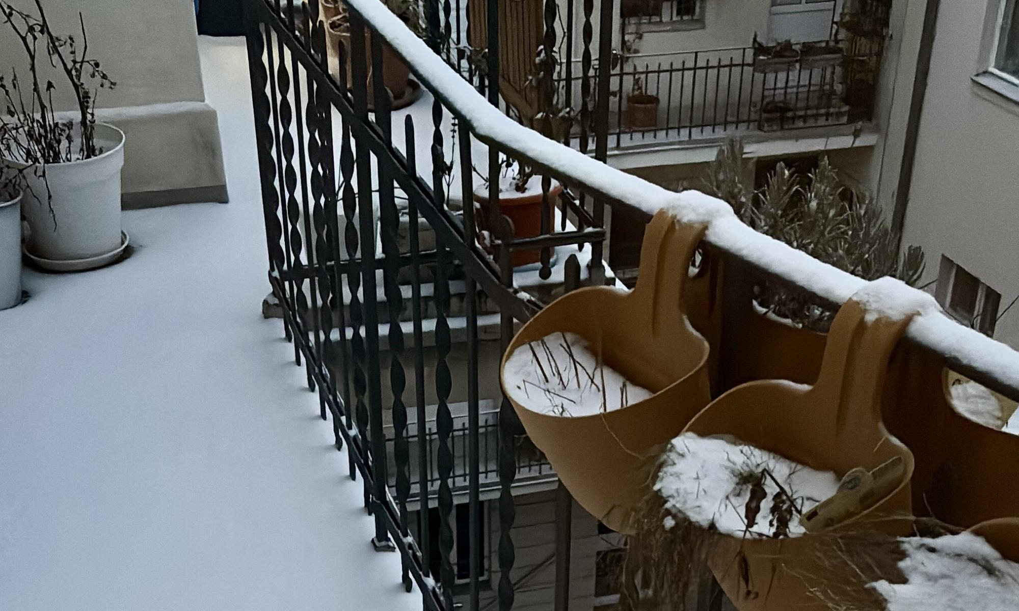 Wochenrueckblick KW 06 - Eine Ansicht von oben auf einen schneebedeckten Balkon mit zwei hängenden gelben Pflanzgefäßen mit Schnee, einem schneebedeckten schmiedeeisernen Geländer und schneebedecktem Boden mit Topfpflanzen im Hintergrund.